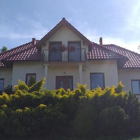 Przytulne Studio Borowkowy Zagajnik 佩霍维采 外观 照片