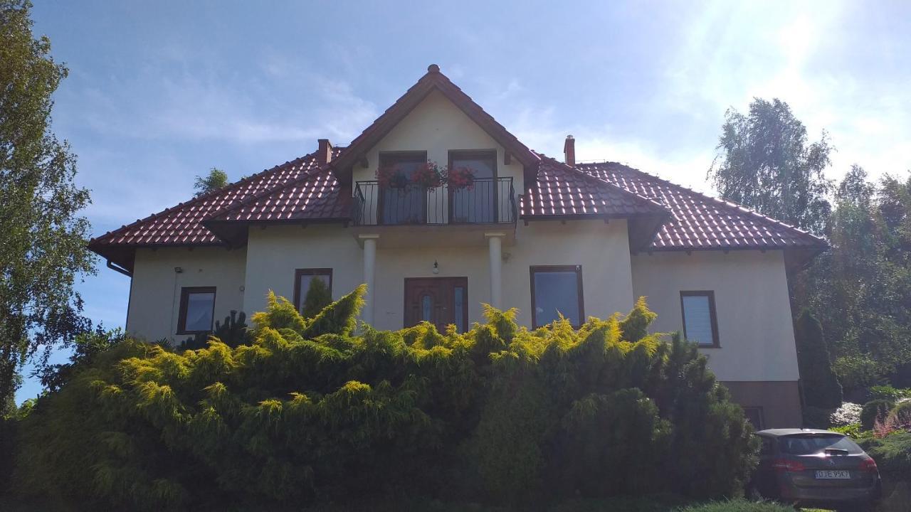 Przytulne Studio Borowkowy Zagajnik 佩霍维采 外观 照片