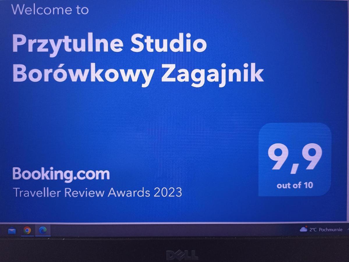 Przytulne Studio Borowkowy Zagajnik 佩霍维采 外观 照片