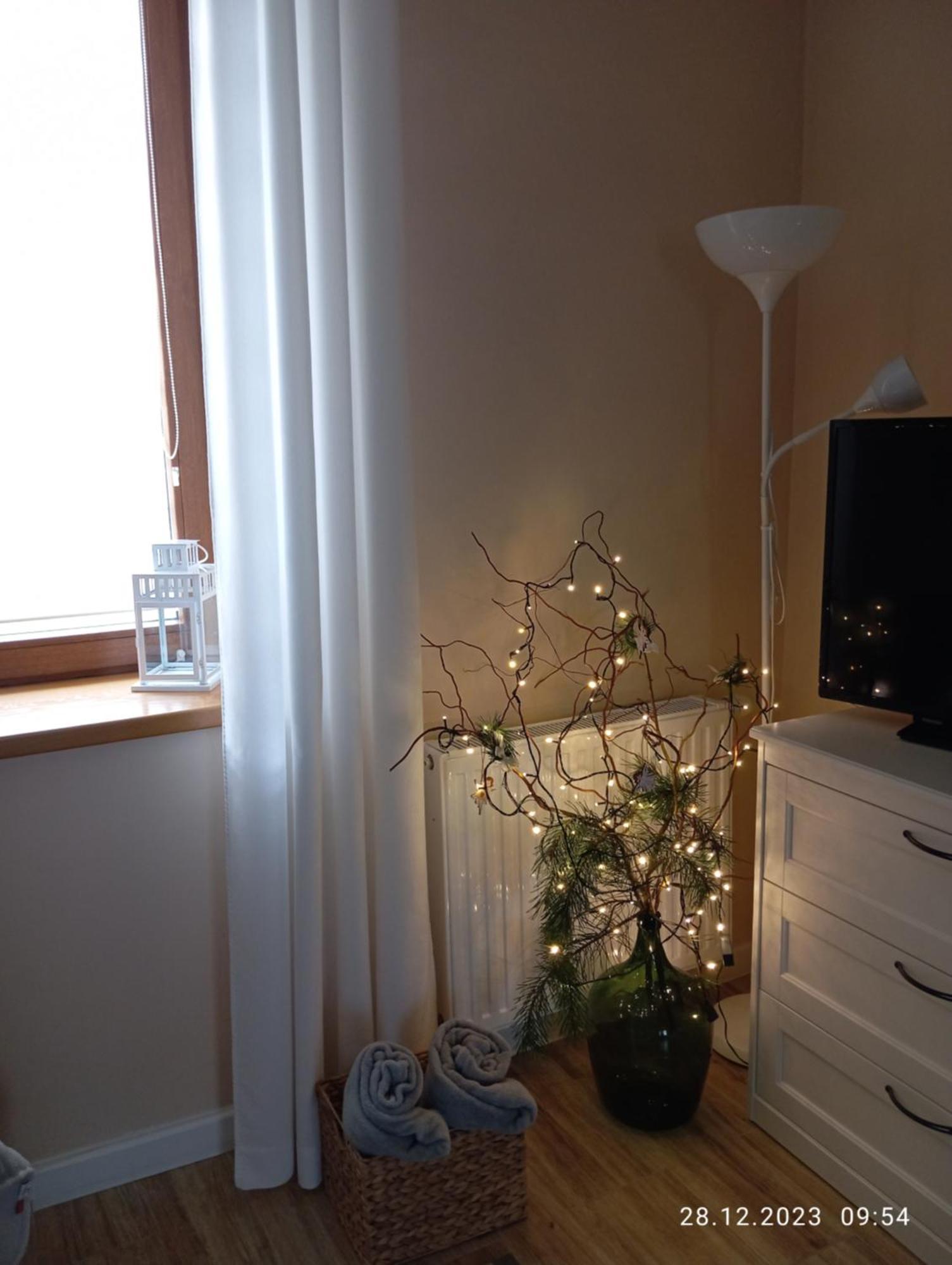 Przytulne Studio Borowkowy Zagajnik 佩霍维采 外观 照片